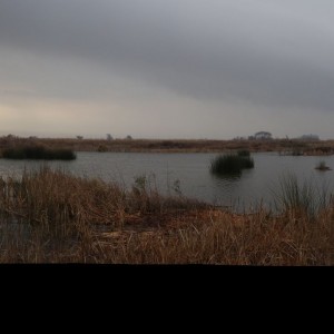 DSC02956 Panorama
